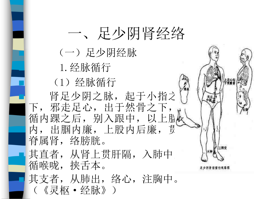 经络学足少阴肾经课件.ppt_第2页