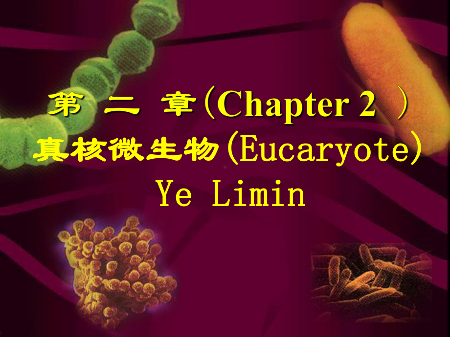 真核微生物本科课件.ppt_第1页