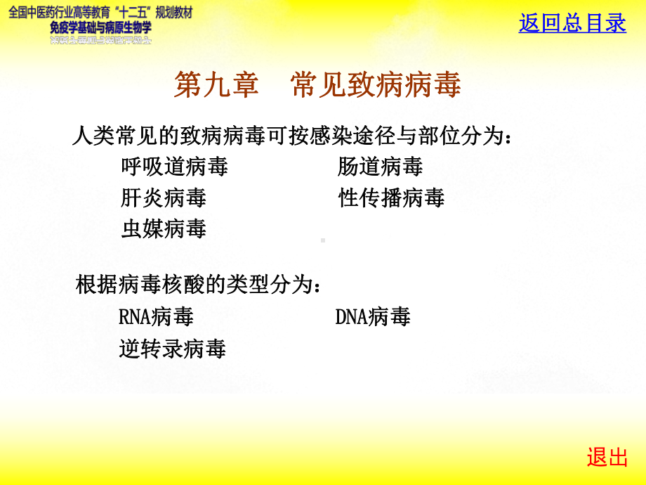 病毒各论课件.ppt_第3页