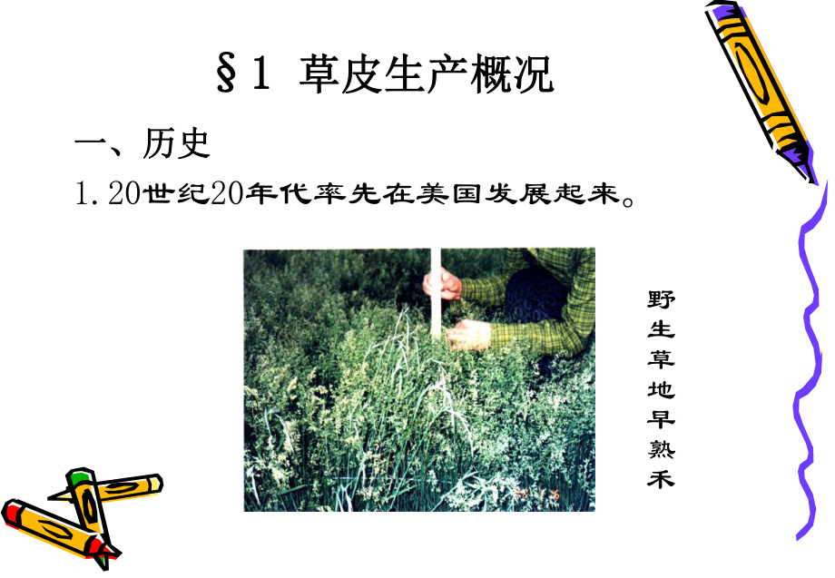 草皮生产课件.ppt_第2页