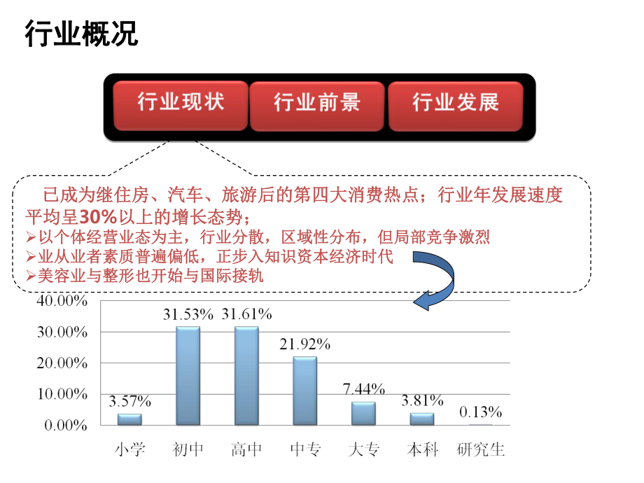 美容行业营销分析报告课件.pptx_第2页