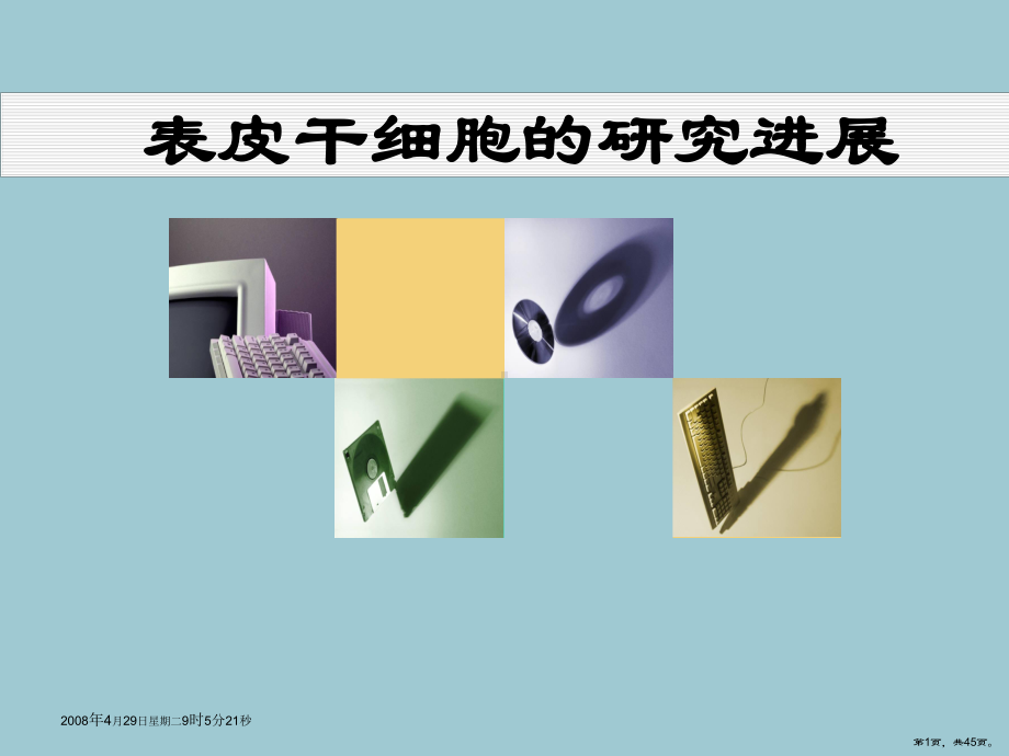 表皮干细胞、肝干细胞课件.ppt_第1页