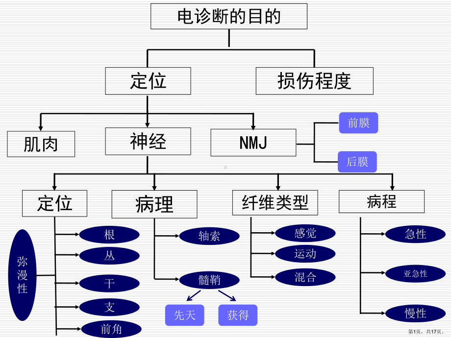 肌电图的临床应用根性损害课件.ppt_第1页