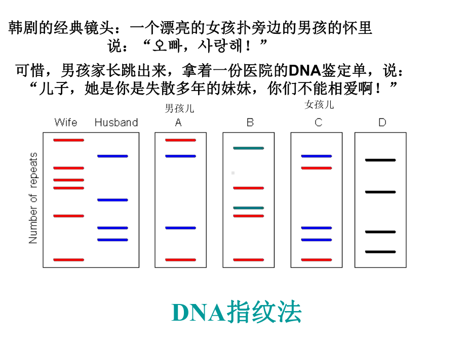 遗传信息的携带者-核酸ppt50-优秀课件.ppt_第2页