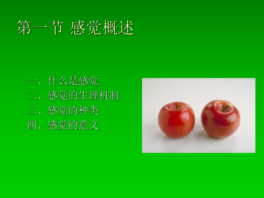 感觉精选课件.ppt_第3页