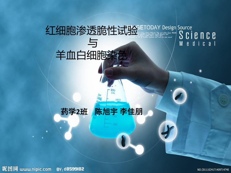 红细胞渗透脆性与白细胞染色实验总结课件.ppt_第1页