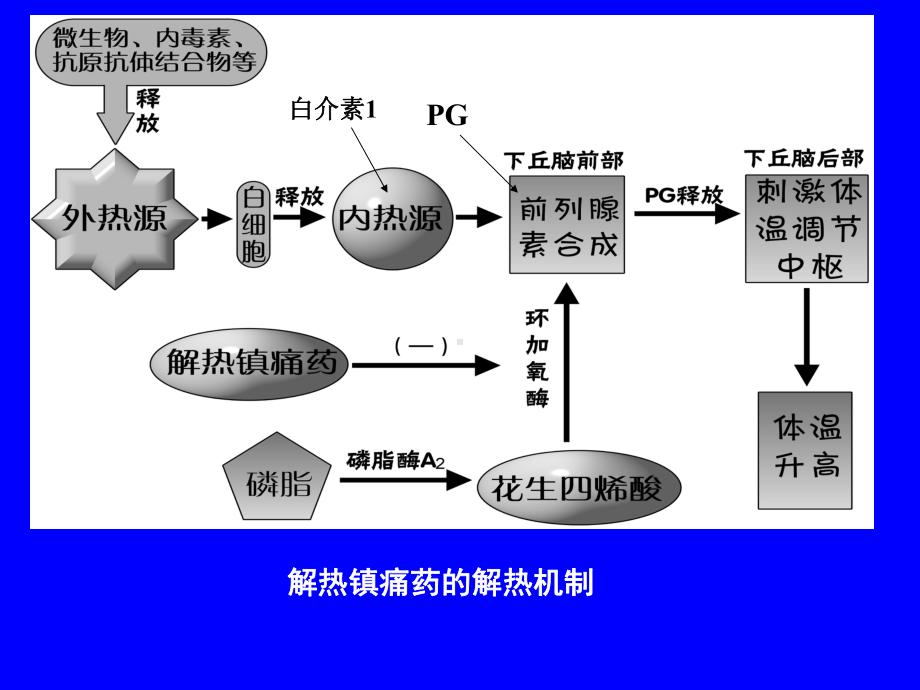 解热镇痛抗炎药与抗风湿药课件.ppt_第3页