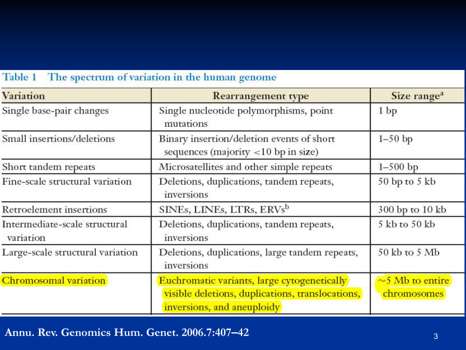 细胞遗传学染色体畸变(一)课件.ppt_第3页