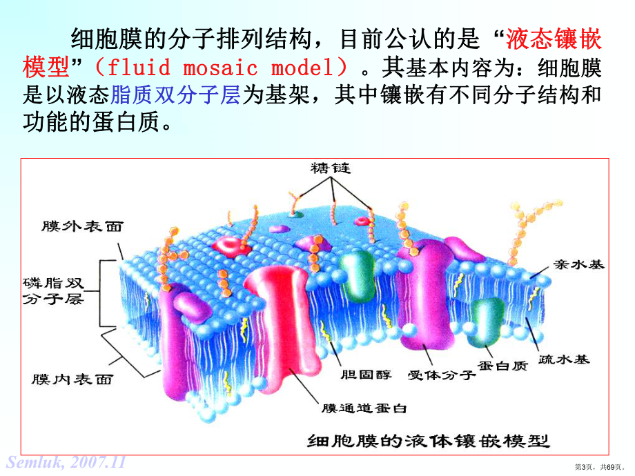 细胞的基本功能2课件.ppt_第3页