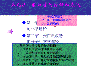 蛋白质的物理化学性质分析课件.ppt