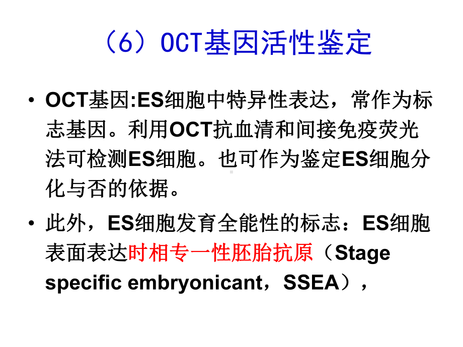 细胞工程第7章干细胞与组织工程课件.ppt_第1页