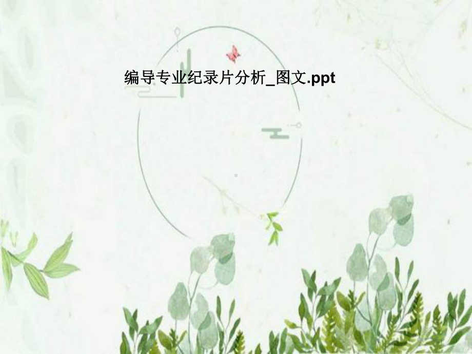 编导专业纪录片分析-课件.pptx_第1页