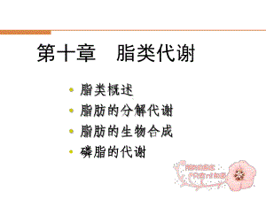 脂类和蛋白质代谢mod课件.ppt