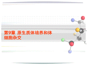 原生质体杂交和体细胞杂交课件.ppt