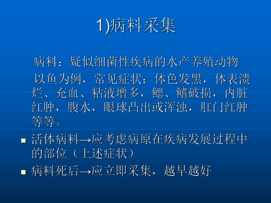 细菌的分离、培养和鉴定15张幻灯片.ppt_第3页