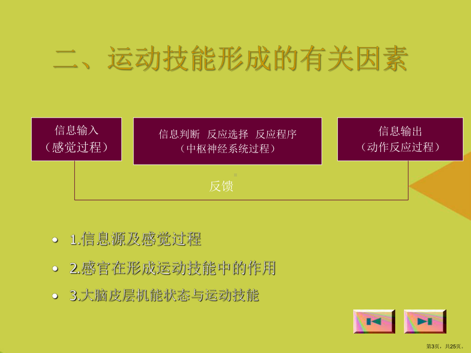 运动技能的形成推选课件.ppt_第3页