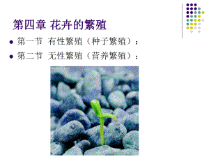 1花卉的有性繁殖课件.ppt