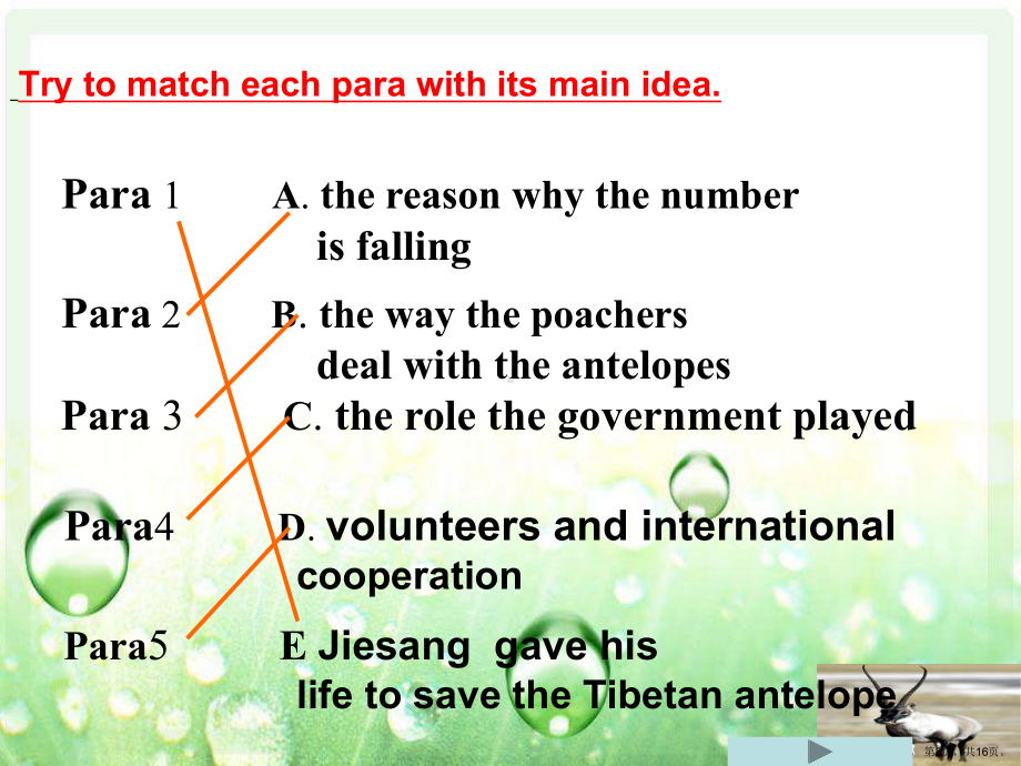 英语必修5外研版Module6阅读拯救藏羚羊课件.ppt_第3页