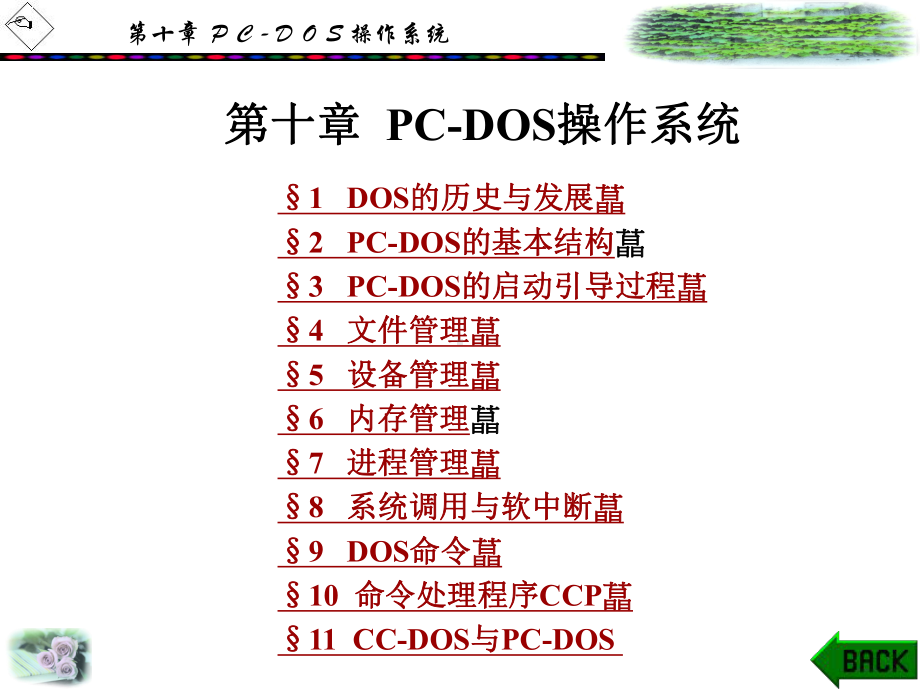 CDOS操作系统课件.ppt_第1页