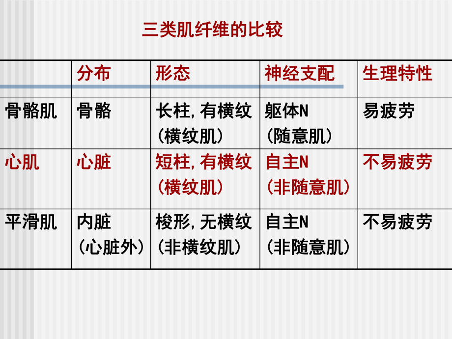 系统解剖学6章肌组织课件.ppt_第2页