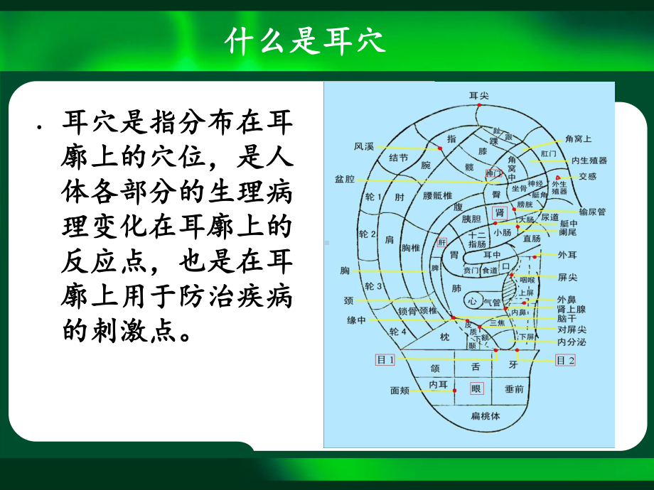 耳穴压豆基本知识课件.ppt_第2页