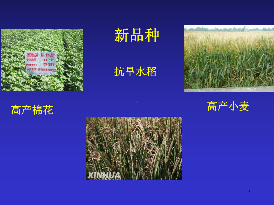 植物新品种保护和审定管理课件.ppt_第3页