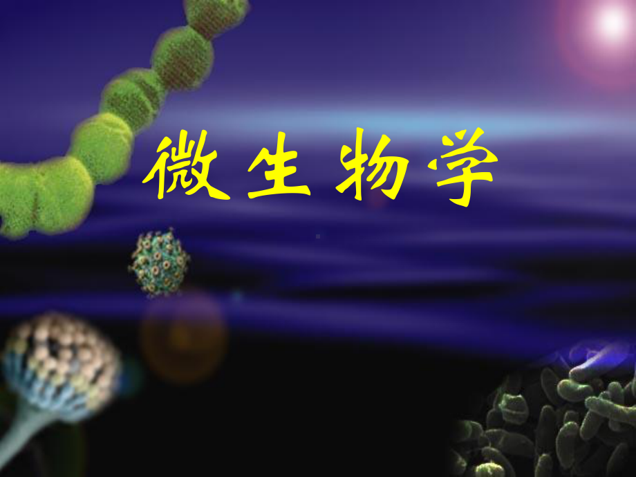 原核微生物细菌课件.ppt_第1页