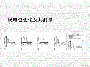 膜电位变化及其测量讲解课件.ppt