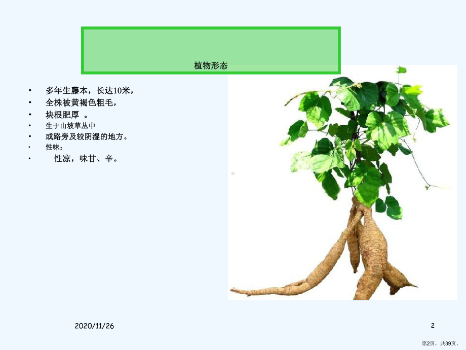 葛根功效与作用课件.ppt_第2页