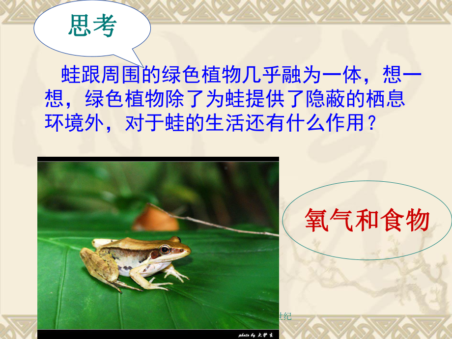 绿色植物是生物圈中有机物的制造者(OK)课件.ppt_第2页