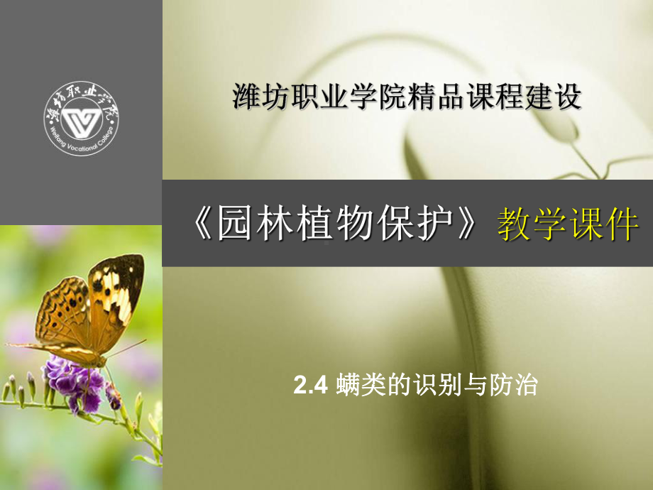 螨类的识别与防治课件.ppt_第1页