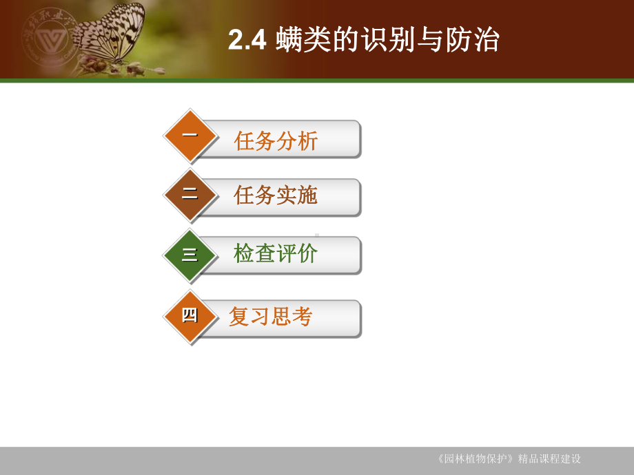 螨类的识别与防治课件.ppt_第2页