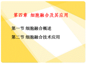 细胞融合及其应用课件.ppt