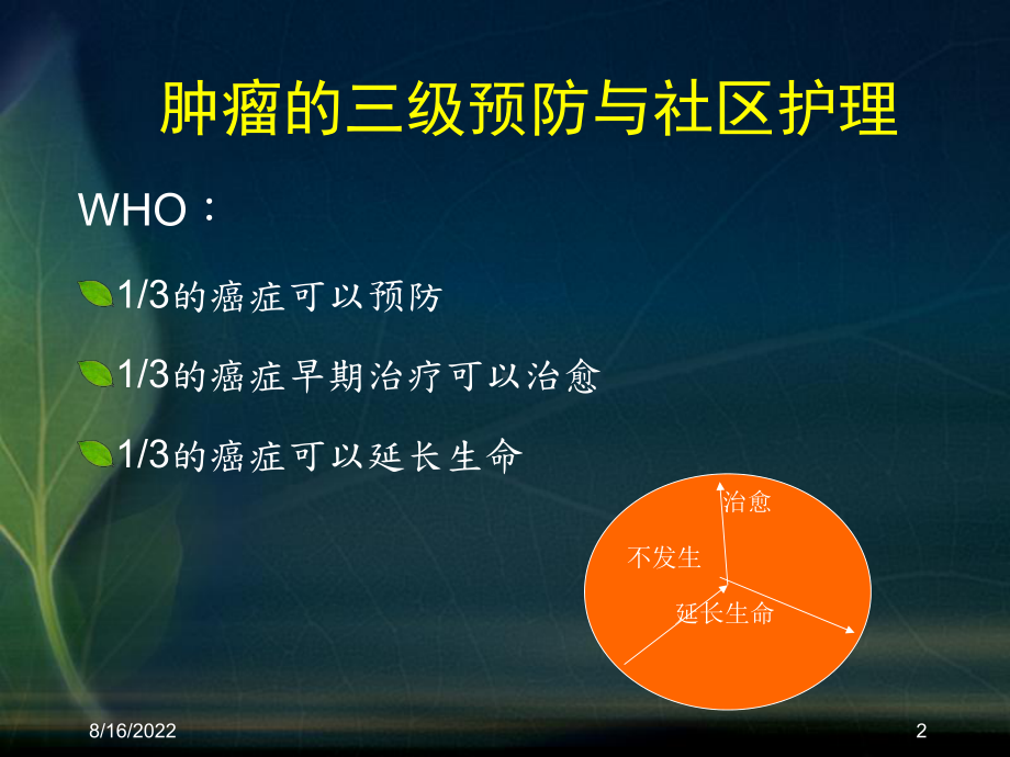 肿瘤病人的社区护理课件.ppt_第2页