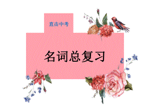 词性：名词总复习课件.ppt