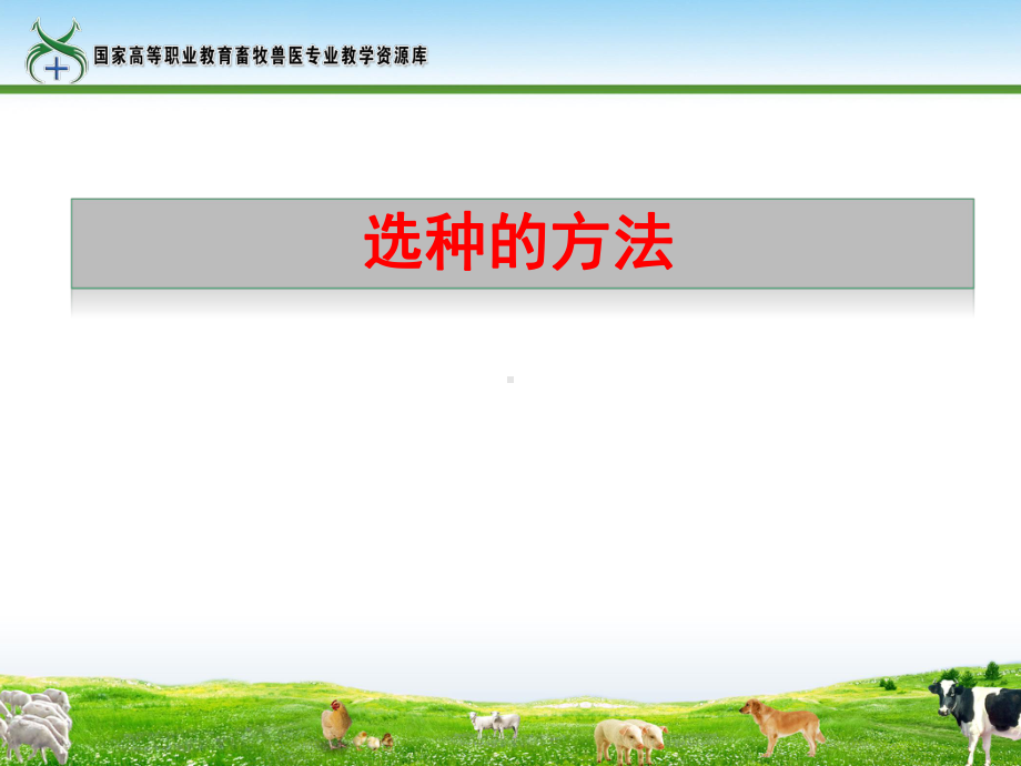 选种的方法课件.ppt_第1页
