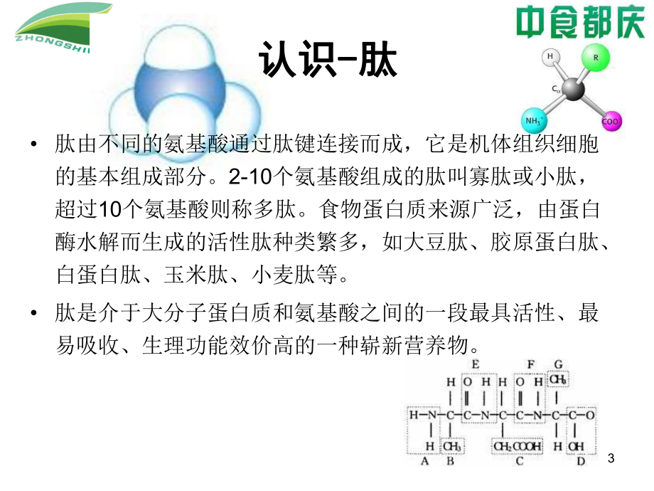 肽及其功能介绍课件.ppt_第3页