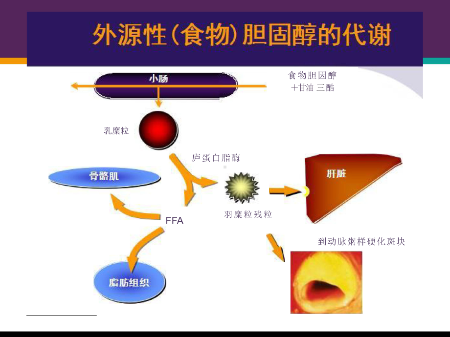 血脂控制新进展降脂新策略课件.pptx_第3页