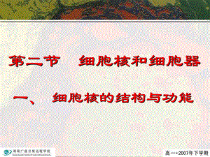 细胞核和细胞器(上课)课件.ppt