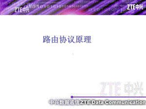 路由协议原理-PPT课件.ppt