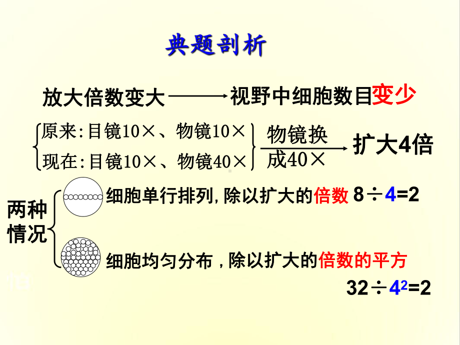 细胞中的元素和化合物40人教课标版课件.ppt_第1页