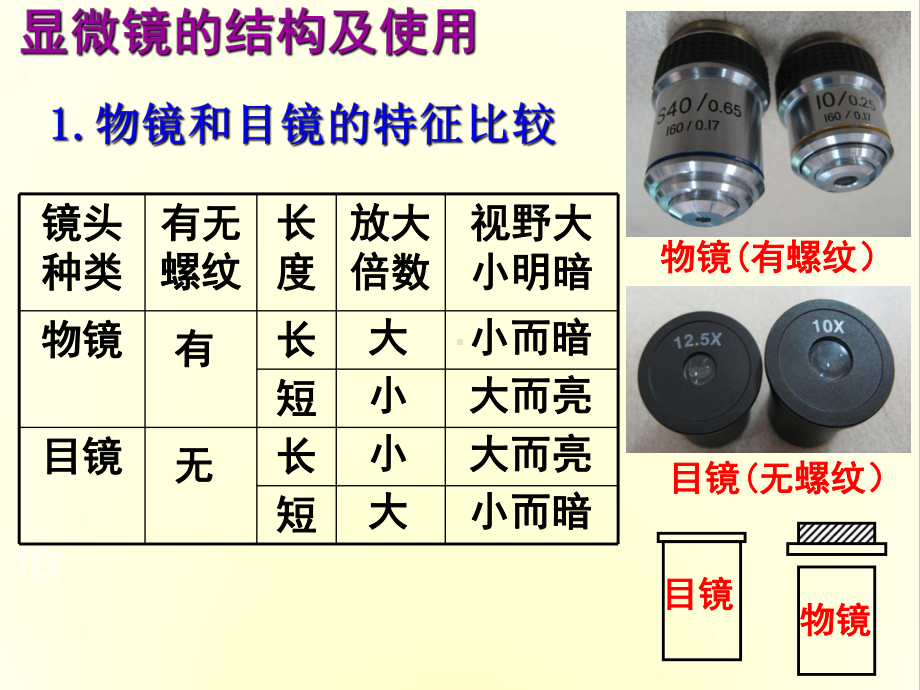 细胞中的元素和化合物40人教课标版课件.ppt_第2页