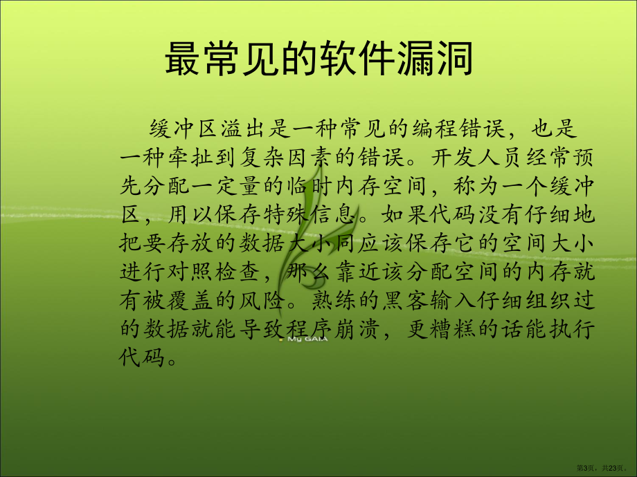 软件安全的研究精品课件.ppt_第3页