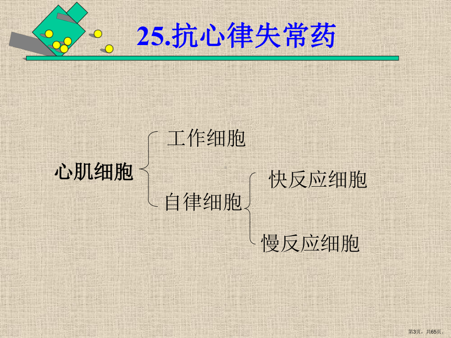 药理学：抗高血压药物课件.ppt_第3页