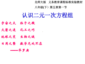 认识二元一次方程组说课课件.ppt