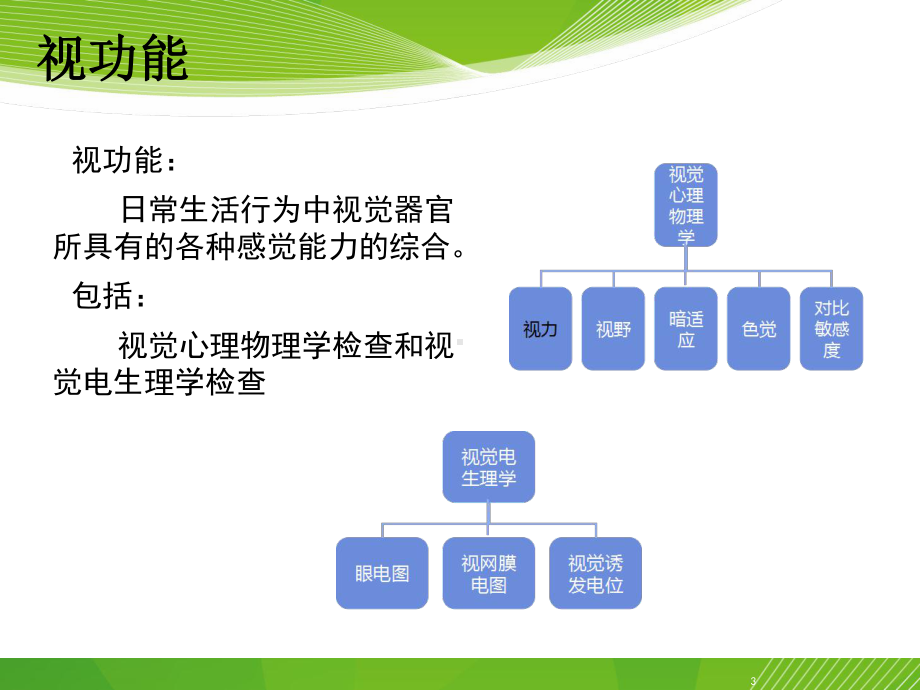 视力和视力检查课件.ppt_第3页