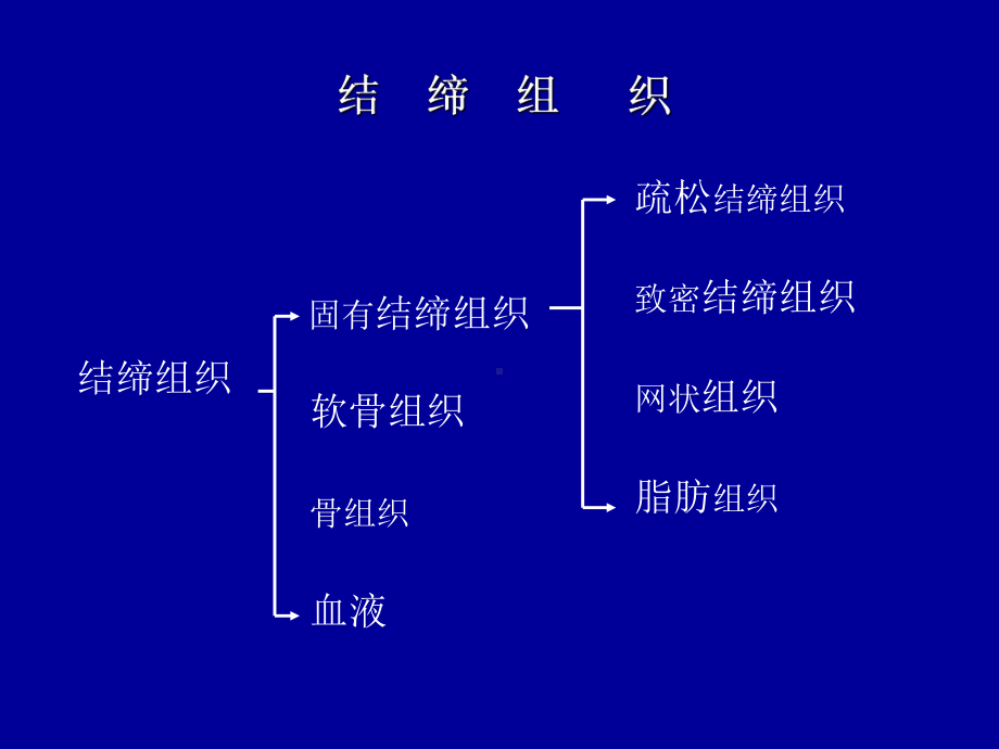 解剖结缔组织课件.ppt_第3页