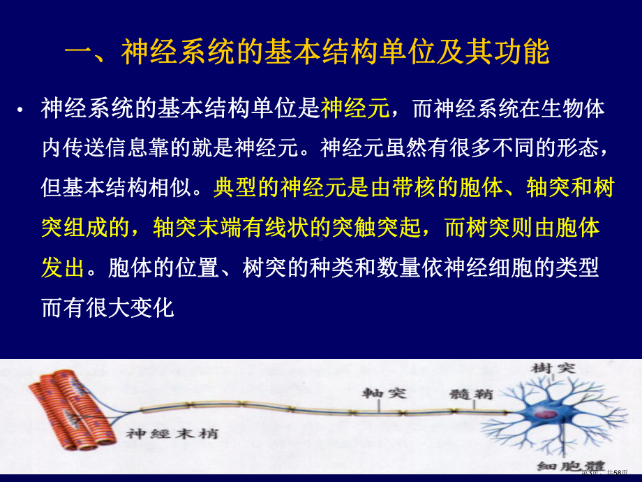 行为生理精品课件.ppt_第3页