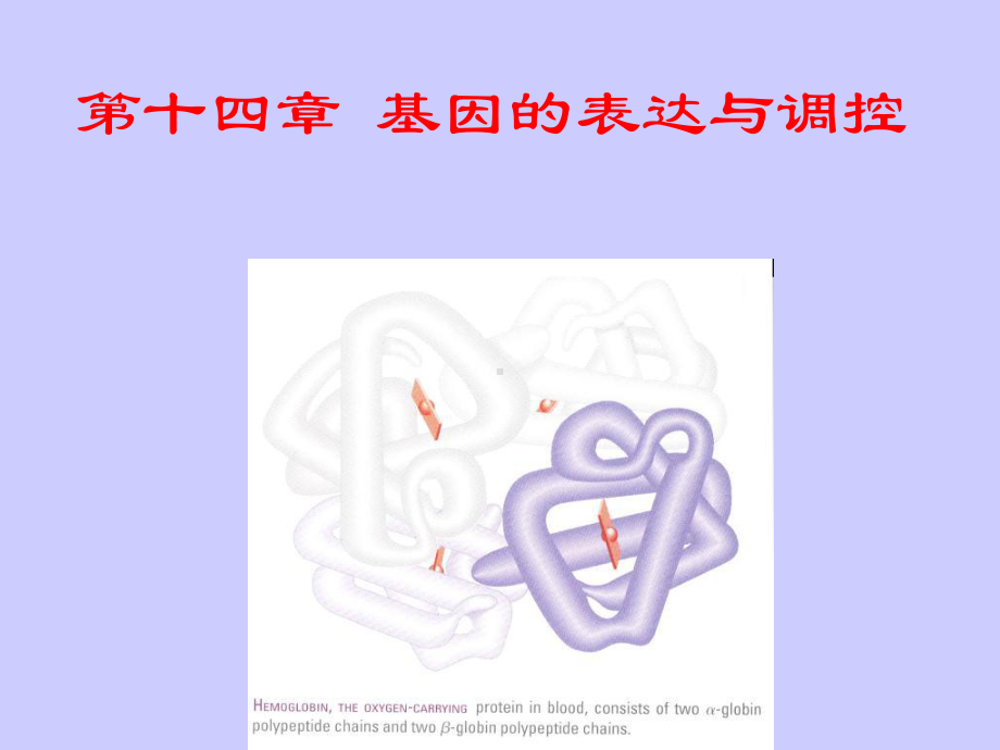 基因的表达与调控课件.ppt_第1页