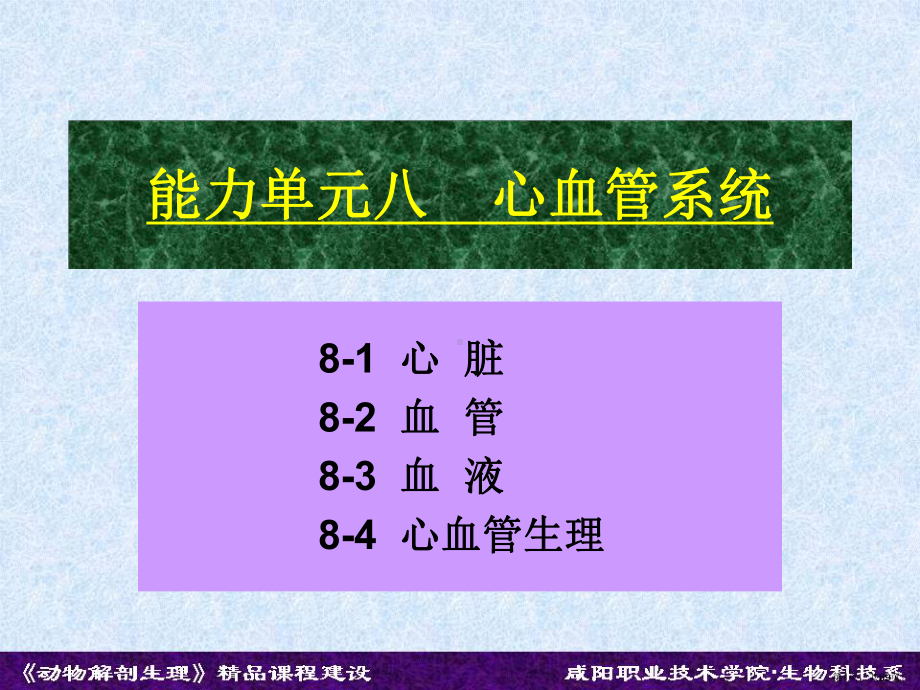 能力单元八心血管系统课件.ppt_第1页